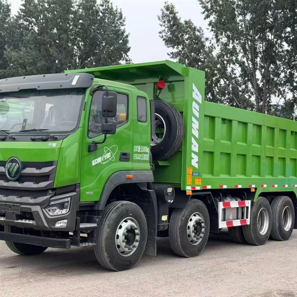Foton Dump Truck suppliers